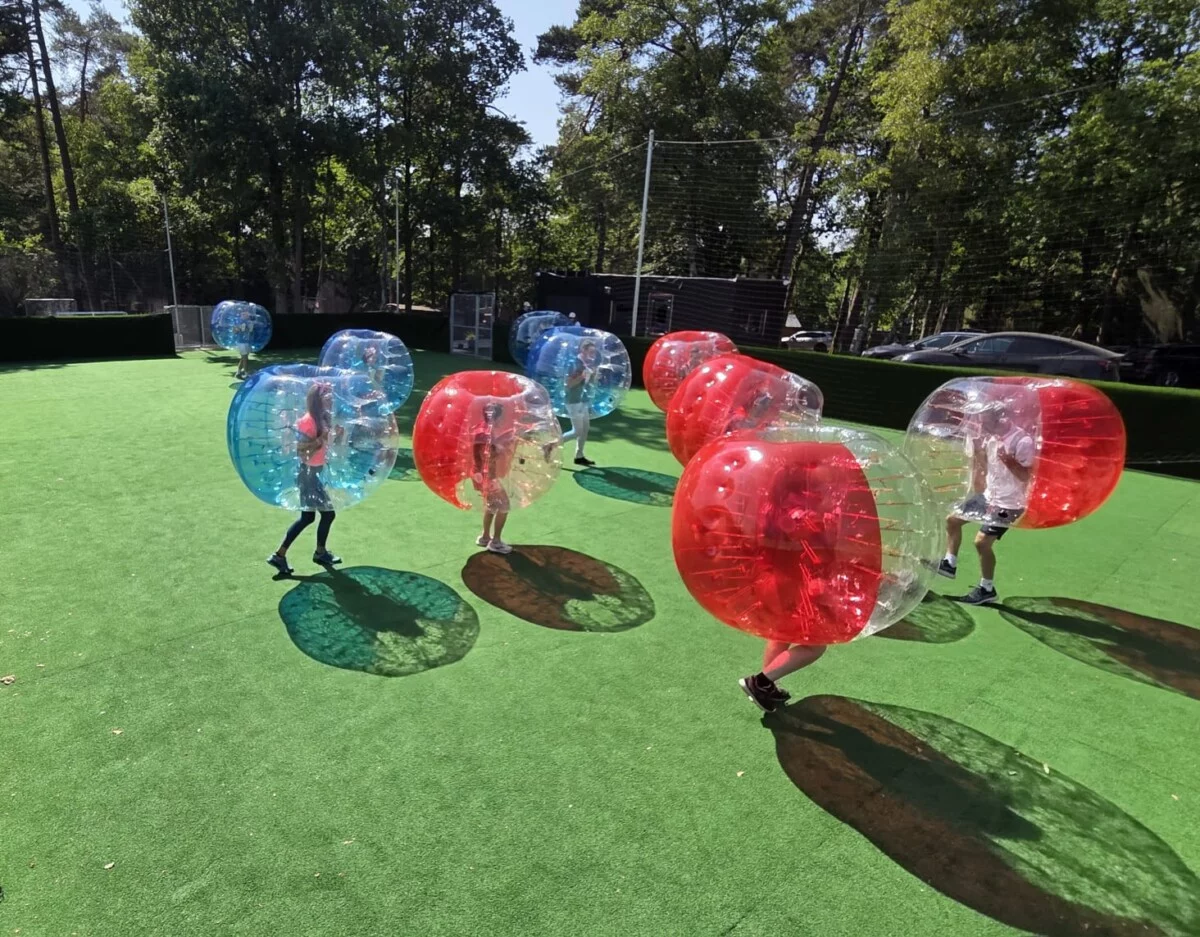 joueurs dans des bulles bleues et rouge