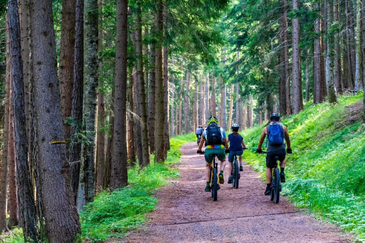 groupe de personnes faisant du vtt à Malmedy, dans les bois